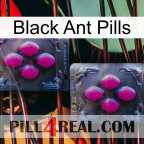 Black Ant Pills 01